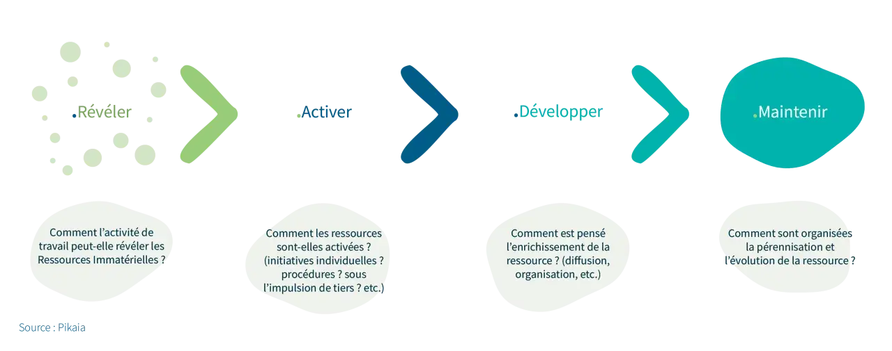 Schéma illustrant les étapes de gestion des ressources immatérielles : Révéler, Activer, Développer, Maintenir.