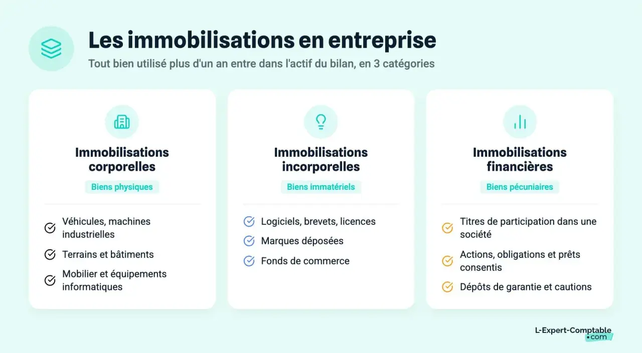 Les immobilisations corporelles incluent les biens physiques comme les véhicules, terrains et bâtiments.
