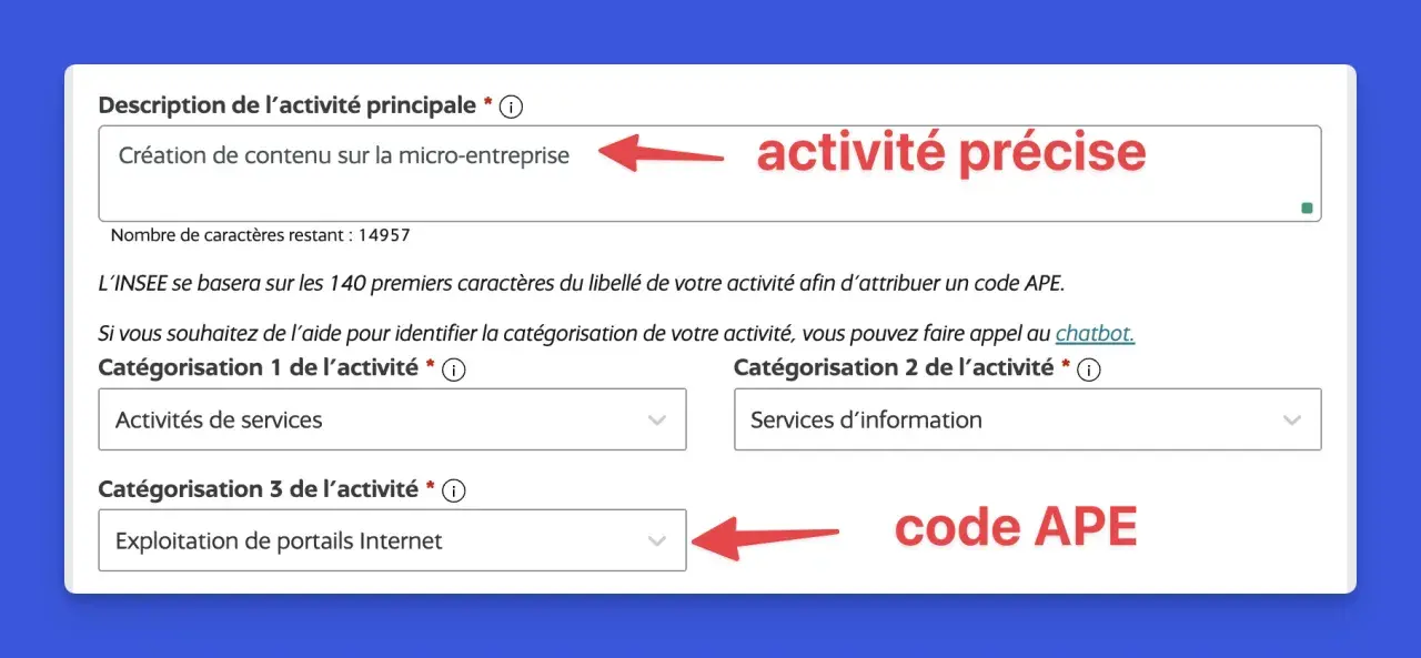 Formulaire pour définir une activité précise et obtenir un code APE. L'exploitation de portails Internet est sélectionnée.