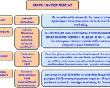 Schéma du micro environnement : clients, concurrents, partenaires, groupes d'influence. Chaque élément est défini.