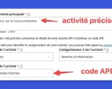 Formulaire pour définir une activité précise et obtenir un code APE. L'exploitation de portails Internet est sélectionnée.