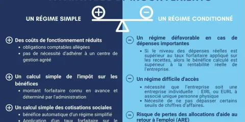 Avantage micro entreprise : régime simple avec coûts réduits et calculs simplifiés, mais régime conditionné avec dépenses importantes et accès difficile.