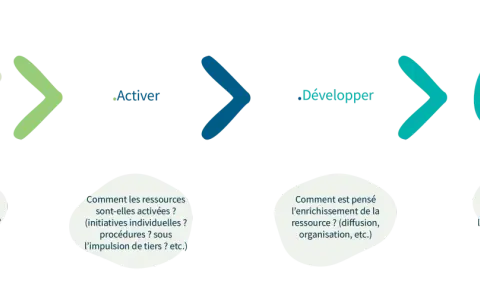 Schéma illustrant les étapes de gestion des ressources immatérielles : Révéler, Activer, Développer, Maintenir.