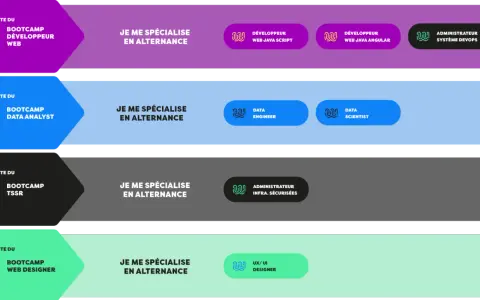 Parcours de formation en ligne : après un bootcamp Data Analyst, spécialisez-vous en alternance en Data Engineer ou Data Scientist.