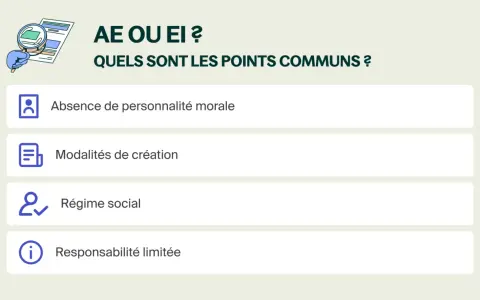 Points communs entre AE et EI : absence de personnalité morale, modalités de création, régime social, responsabilité limitée. L'avantage entreprise individuelle est ici détaillé.
