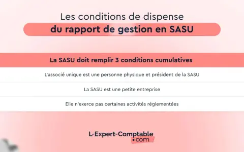 Les conditions de dispense du rapport de gestion en SASU : l'associé unique est une personne physique, la SASU est une petite entreprise et n'exerce pas d'activités réglementées.