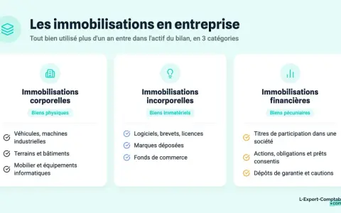 Les immobilisations corporelles incluent les biens physiques comme les véhicules, terrains et bâtiments.