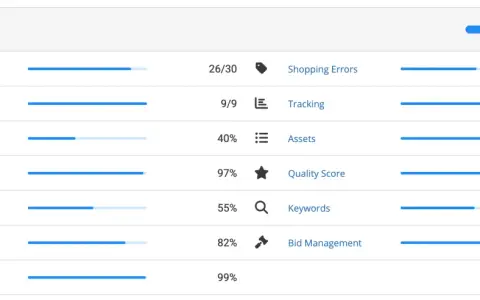Tableau d'audit Google Ads : erreurs, disapprovals, paramètres de campagne, part d'impressions, structure de compte, shopping, pages de destination, suivi, éléments, score de qualité, mots-clés, gestion des enchères.