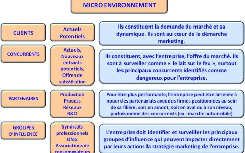 Schéma du micro environnement : clients, concurrents, partenaires, groupes d'influence. Chaque élément est défini.