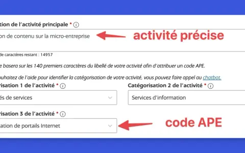 Formulaire pour définir une activité précise et obtenir un code APE. L'exploitation de portails Internet est sélectionnée.
