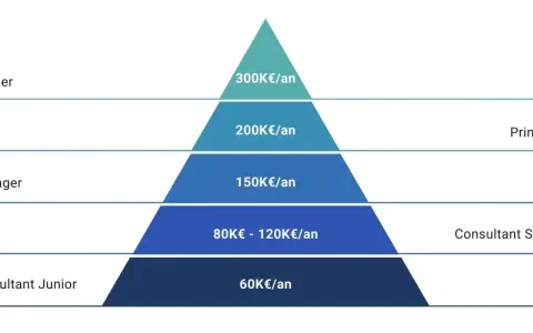 Pyramide des salaires d'un consultant en gestion de projet : Junior (60K€), Senior (80-120K€), Manager (150K€), Principal (200K€), Partner (300K€).