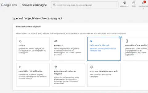 Interface Google Ads pour choisir l'objectif d'une campagne : "Trafic vers le site web" est sélectionné.