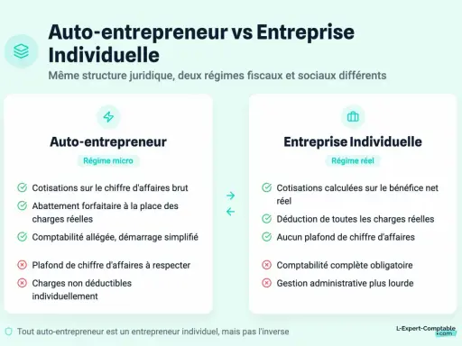 Comparaison auto-entrepreneur vs entreprise individuelle. Le régime micro de l'auto-entrepreneur a un plafond de chiffre d'affaires, contrairement au régime réel.