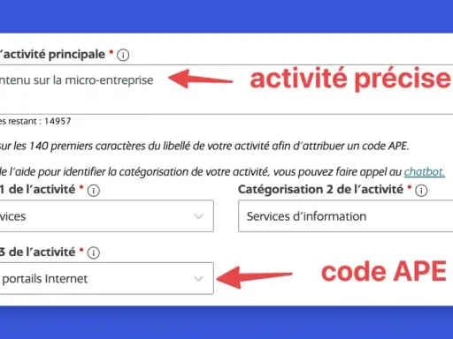 Formulaire pour définir une activité précise et obtenir un code APE. L'exploitation de portails Internet est sélectionnée.