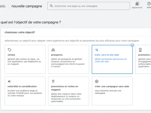Interface Google Ads pour choisir l'objectif d'une campagne : "Trafic vers le site web" est sélectionné.
