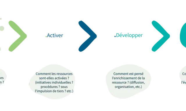Schéma illustrant les étapes de gestion des ressources immatérielles : Révéler, Activer, Développer, Maintenir.