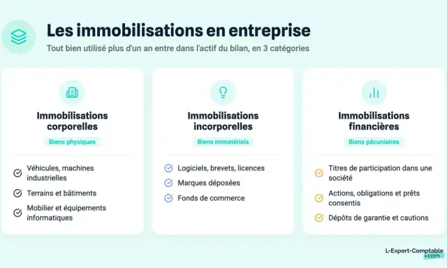 Les immobilisations corporelles incluent les biens physiques comme les véhicules, terrains et bâtiments.