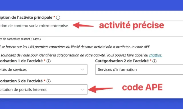 Formulaire pour définir une activité précise et obtenir un code APE. L'exploitation de portails Internet est sélectionnée.