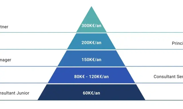 Pyramide des salaires d'un consultant en gestion de projet : Junior (60K€), Senior (80-120K€), Manager (150K€), Principal (200K€), Partner (300K€).