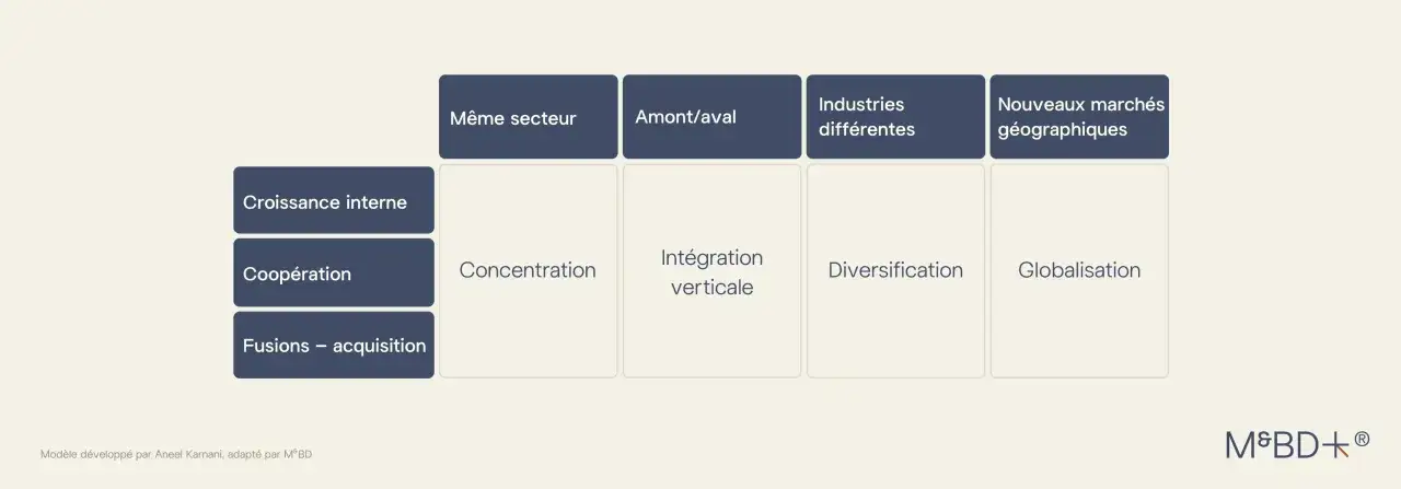 Matrice des strat&eacute;gies de croissance : croissance interne, coop&eacute;ration, fusions-acquisitions, concentration, int&eacute;gration verticale, diversification, globalisation. D&eacute;finition du domaine d'activit&eacute; strat&eacute;gique.